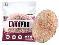 BOINA DUPLA FACE LANA PRO FIO VERMELHO E BRANCO CORTE PESADO 7 POLEGADAS LINCOLN